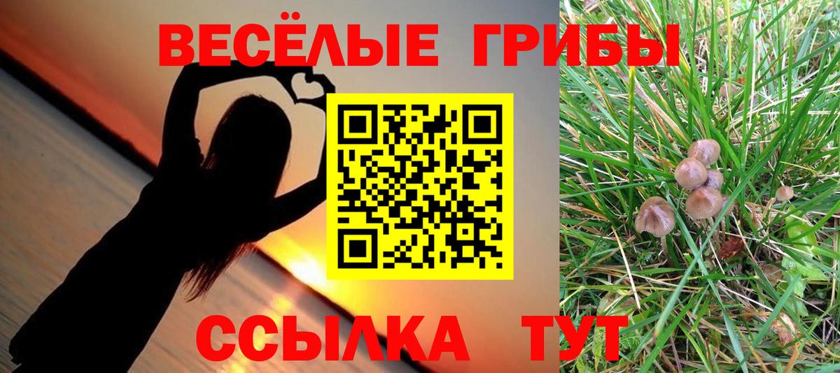 Галлюциногенные грибы Magic Shrooms  Вход с VPN  Шелехов  магазин продажи   Псилоцибиновые грибы GOLDEN TEACHER 